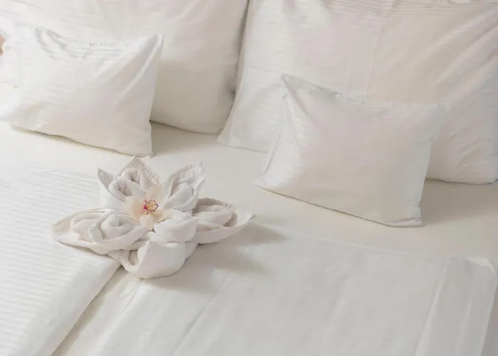 호텔 Atlantis Wellness & Conference 4*