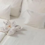 酒店 Atlantis Wellness & Conference 4*